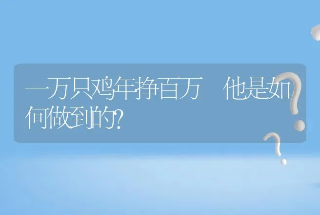 一万只鸡年挣百万 他是如何做到的？ | 养殖致富