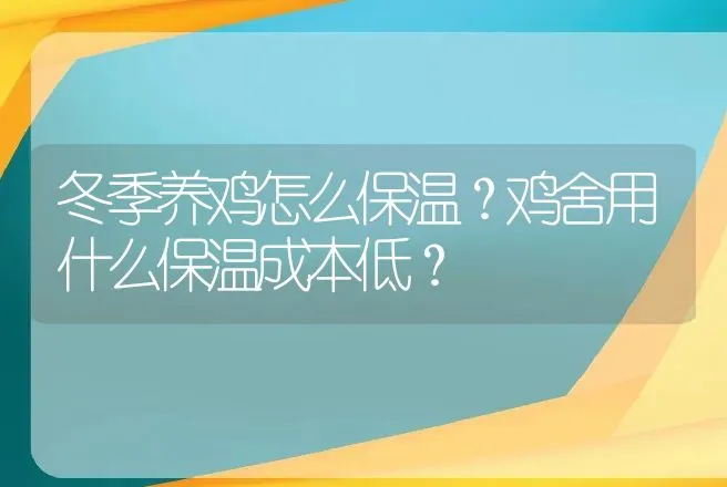 冬季养鸡怎么保温？鸡舍用什么保温成本低？ | 家禽养殖