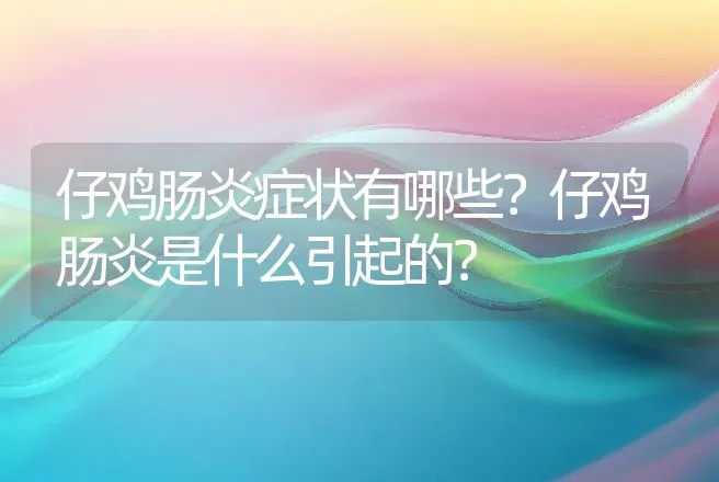 仔鸡肠炎症状有哪些？仔鸡肠炎是什么引起的？ | 兽医知识大全