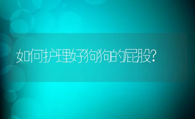 如何护理好狗狗的屁股? | 宠物猫