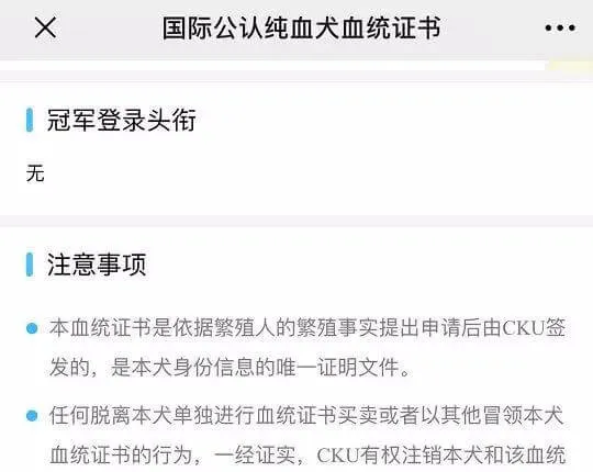 不会选购纯种犬？请收下这份[纯种犬购买指南]！ | 宠物狗选购技巧