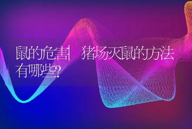 鼠的危害|猪场灭鼠的方法有哪些？ | 家畜养殖