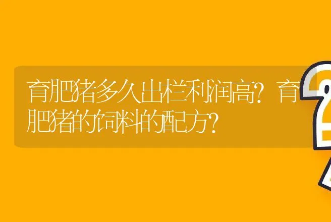 育肥猪多久出栏利润高？育肥猪的饲料的配方？ | 家畜养殖