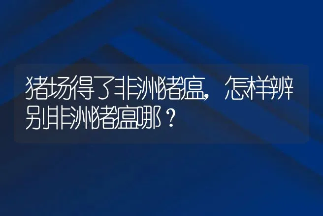 猪场得了非洲猪瘟，怎样辨别非洲猪瘟哪？ | 兽医知识大全