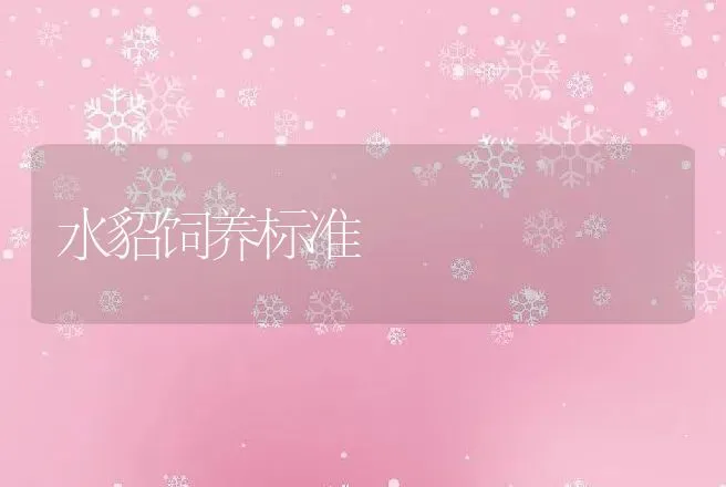 水貂饲养标准 | 动物养殖