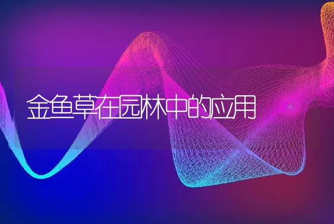 金鱼草在园林中的应用 | 动物养殖