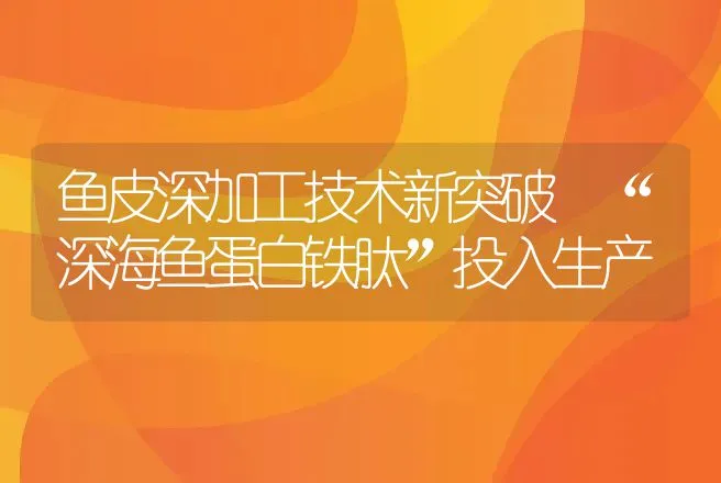 鱼皮深加工技术新突破 “深海鱼蛋白铁肽”投入生产 | 动物养殖