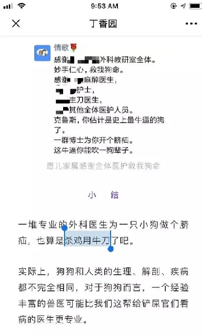 并不是当医生的可以治所有病！跨行给狗开刀的外科博士向兽医道歉了 | 宠物新闻资讯