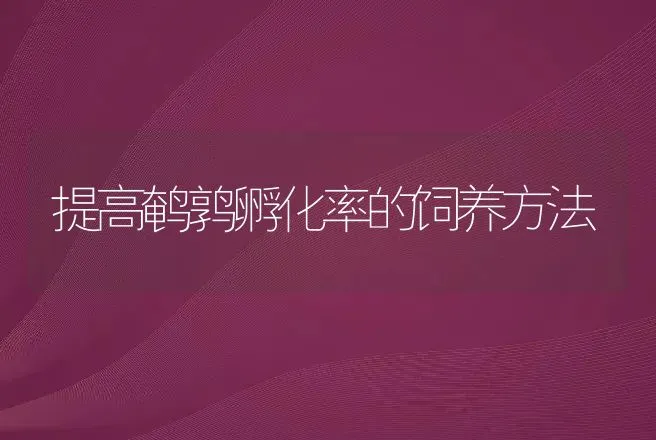 提高鹌鹑孵化率的饲养方法 | 动物养殖