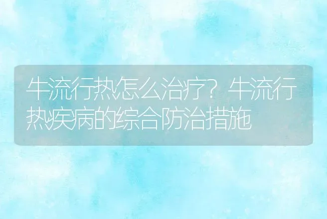 牛流行热怎么治疗？牛流行热疾病的综合防治措施 | 兽医知识大全