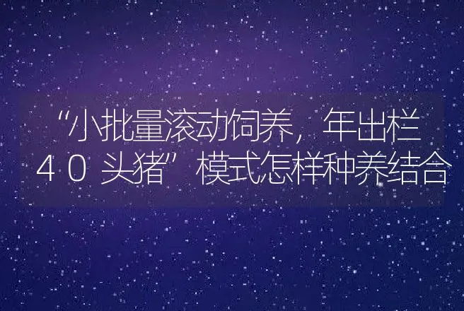 “小批量滚动饲养，年出栏40头猪”模式怎样种养结合 | 动物养殖