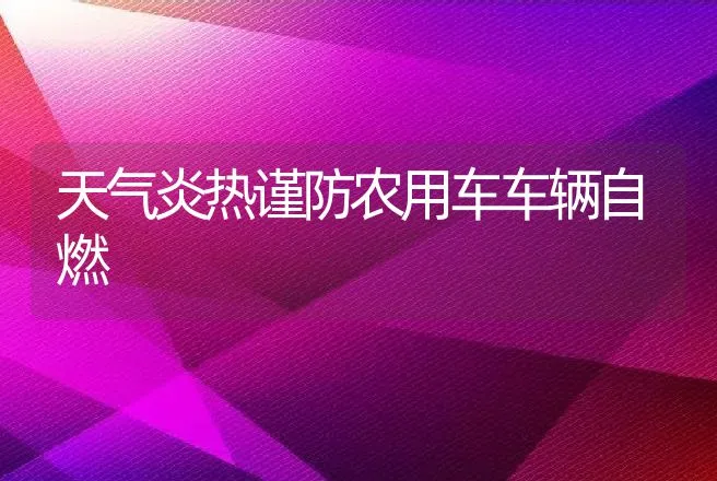 天气炎热谨防农用车车辆自燃 | 养殖