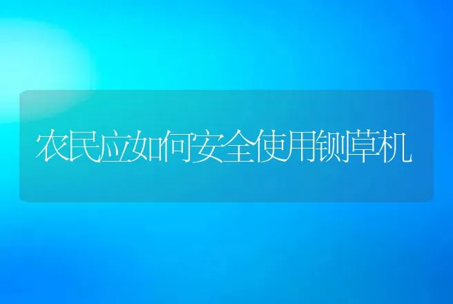 农民应如何安全使用铡草机 | 养殖