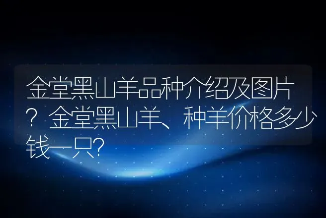 金堂黑山羊品种介绍及图片？金堂黑山羊、种羊价格多少钱一只？ | 养殖致富