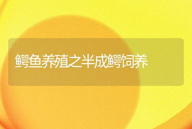 鳄鱼养殖之半成鳄饲养 | 动物养殖