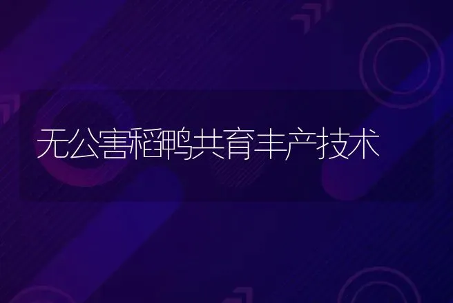 无公害稻鸭共育丰产技术 | 动物养殖