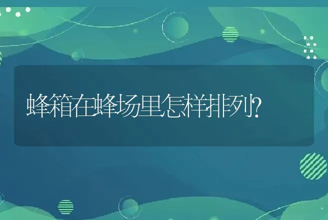 蜂箱在蜂场里怎样排列？ | 动物养殖