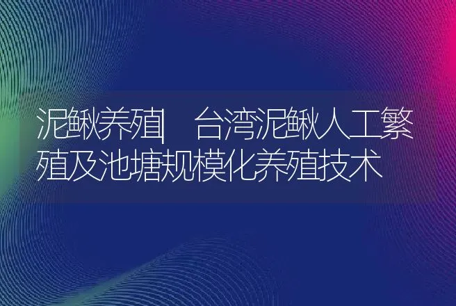 泥鳅养殖|台湾泥鳅人工繁殖及池塘规模化养殖技术 | 水产知识