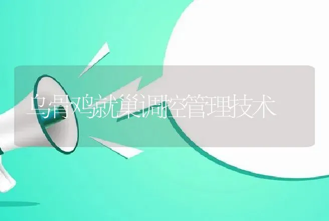 乌骨鸡就巢调控管理技术 | 动物养殖