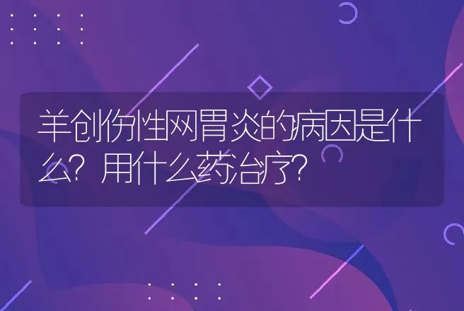 羊创伤性网胃炎的病因是什么？用什么药治疗？ | 兽医知识大全