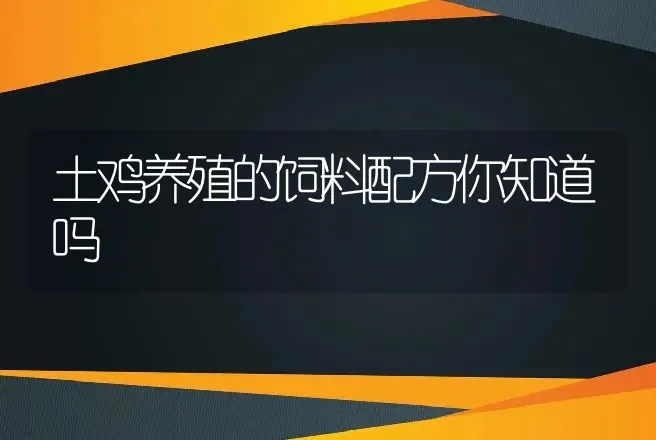 土鸡养殖的饲料配方你知道吗 | 家禽养殖