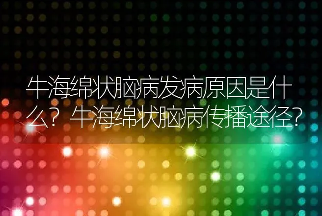 牛海绵状脑病发病原因是什么？牛海绵状脑病传播途径？ | 兽医知识大全