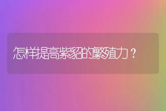 怎样提高紫貂的繁殖力？ | 特种养殖