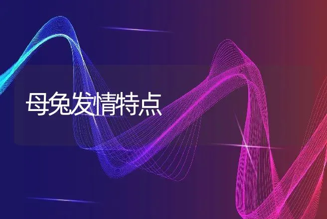 母兔发情特点 | 动物养殖