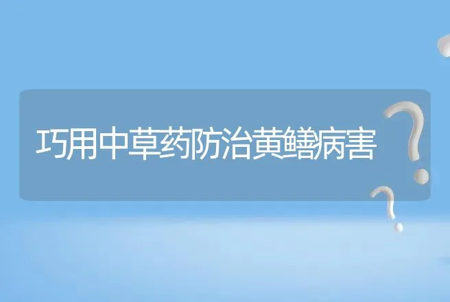 巧用中草药防治黄鳝病害 | 特种养殖