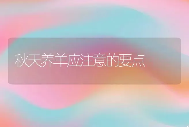 秋天养羊应注意的要点 | 动物养殖