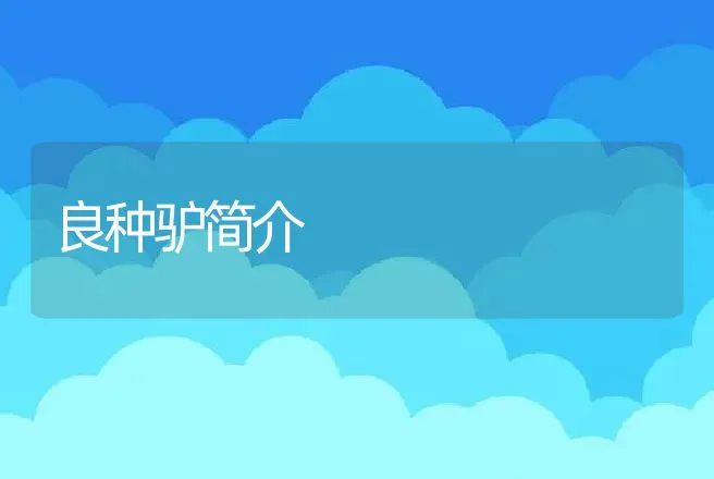 良种驴简介 | 动物养殖