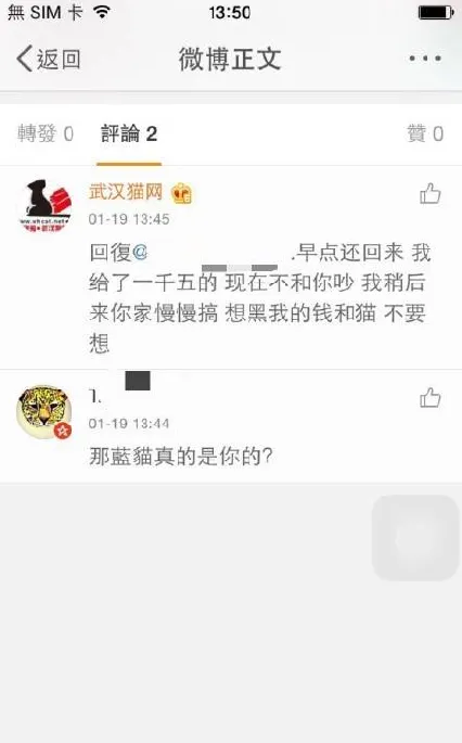 如果能预知这血淋淋的结果我断不会将爱宠交给黑心“救助站” | 宠物新闻资讯