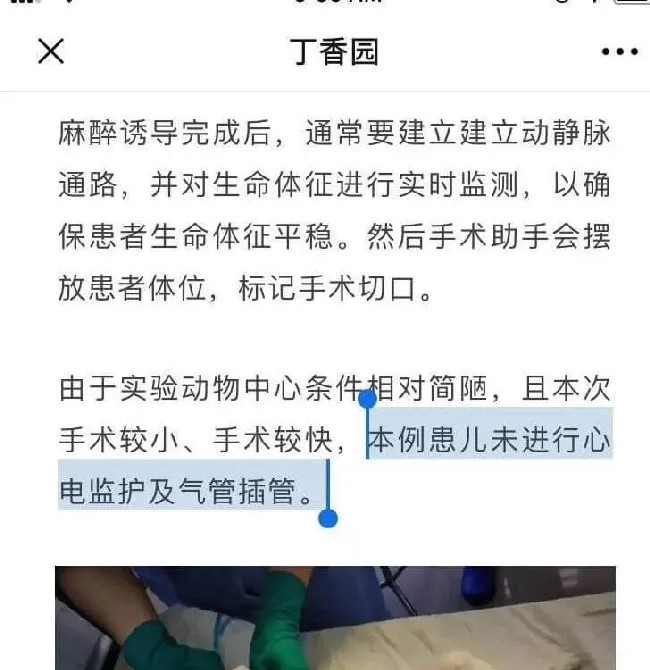 并不是当医生的可以治所有病！跨行给狗开刀的外科博士向兽医道歉了 | 宠物新闻资讯