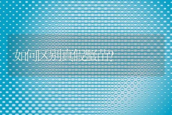 如何区别真假蟹苗？ | 动物养殖