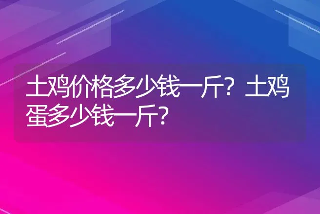 土鸡价格多少钱一斤？土鸡蛋多少钱一斤？ | 家禽养殖