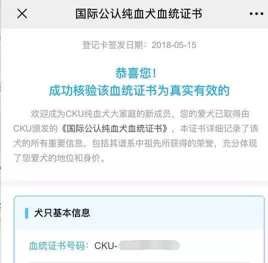 不会选购纯种犬？请收下这份[纯种犬购买指南]！ | 宠物狗选购技巧