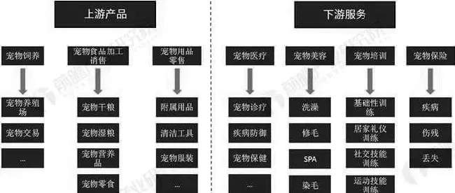 宠物下游市场距离成熟有多远？ | 宠物行业洞察