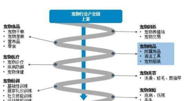 宠物消费观念升级，宠物服务行业壮大 | 宠物行业洞察