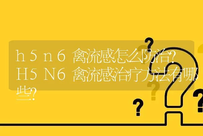 h5n6禽流感怎么防治？H5N6禽流感治疗方法有哪些？ | 兽医知识大全