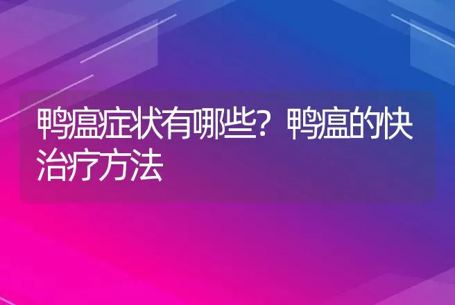 鸭瘟症状有哪些？鸭瘟的快治疗方法 | 兽医知识大全