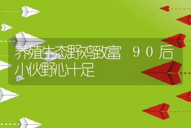 养殖生态野鸡致富 90后小伙野心十足 | 养殖致富