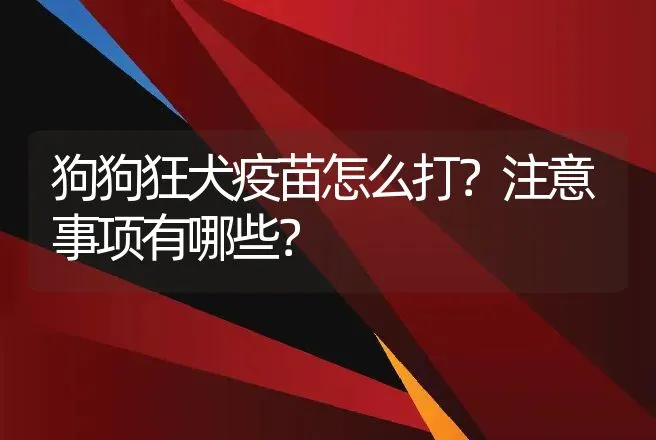 狗狗狂犬疫苗怎么打？注意事项有哪些？ | 动物养殖