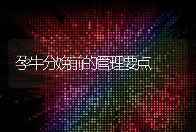 孕牛分娩前的管理要点 | 动物养殖