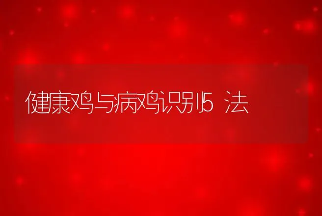 健康鸡与病鸡识别5法 | 动物养殖