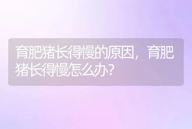 育肥猪长得慢的原因，育肥猪长得慢怎么办？ | 家畜养殖