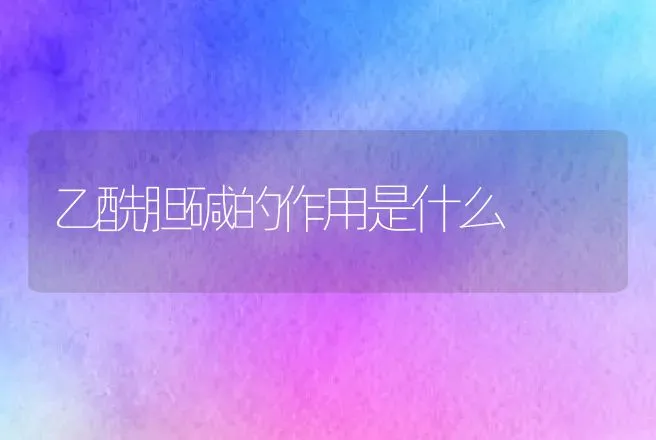 乙酰胆碱的作用是什么 | 兽医知识大全