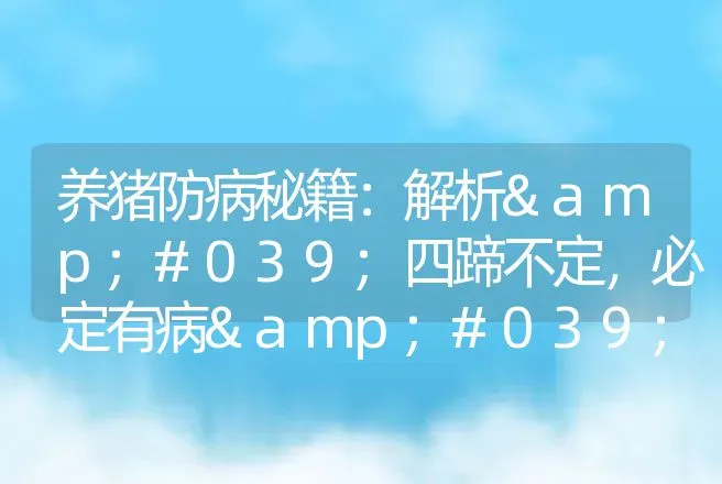 养猪防病秘籍：解析'四蹄不定，必定有病'及应对 | 家畜养殖