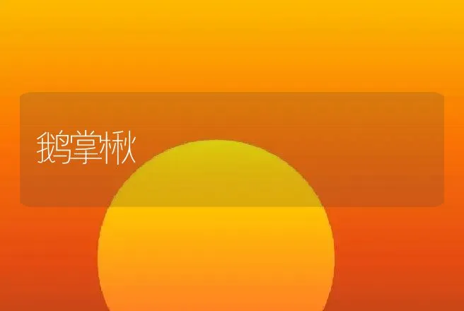 鹅掌楸 | 动物养殖