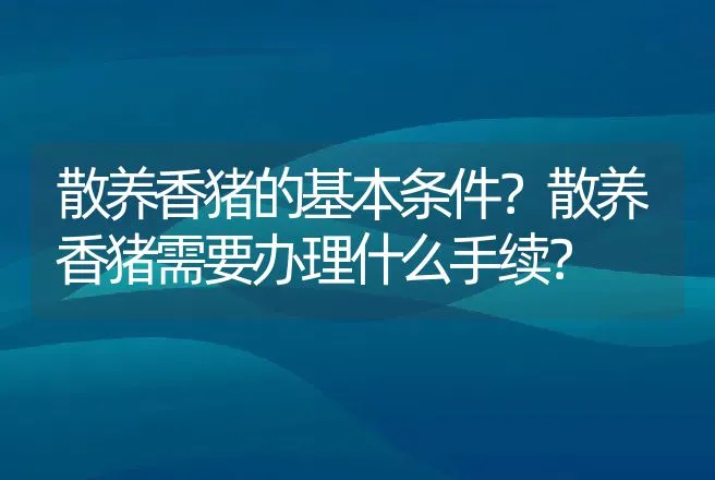 小狗细小病毒怎么治疗及症状分析 | 兽医知识大全