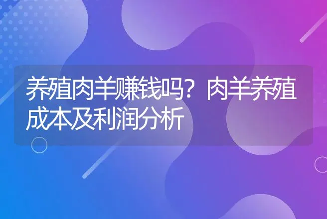 养殖肉羊赚钱吗？肉羊养殖成本及利润分析 | 养殖致富